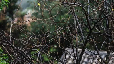 Έντονα καιρικά φαινόμενα τις επόμενες δύο μέρες - Δεν λέει να υποχωρήσει η κακοκαιρία