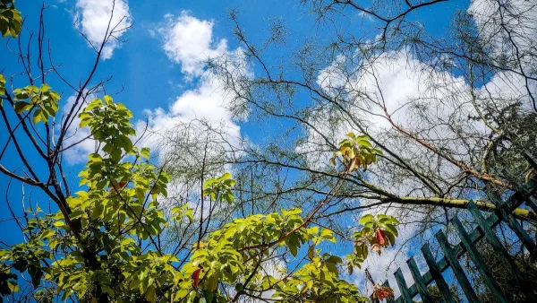 Τα Μερομήνια έκαναν την πρόβλεψή τους - Τι καιρό θα κάνει το τριήμερο του Αγίου Πνεύματος