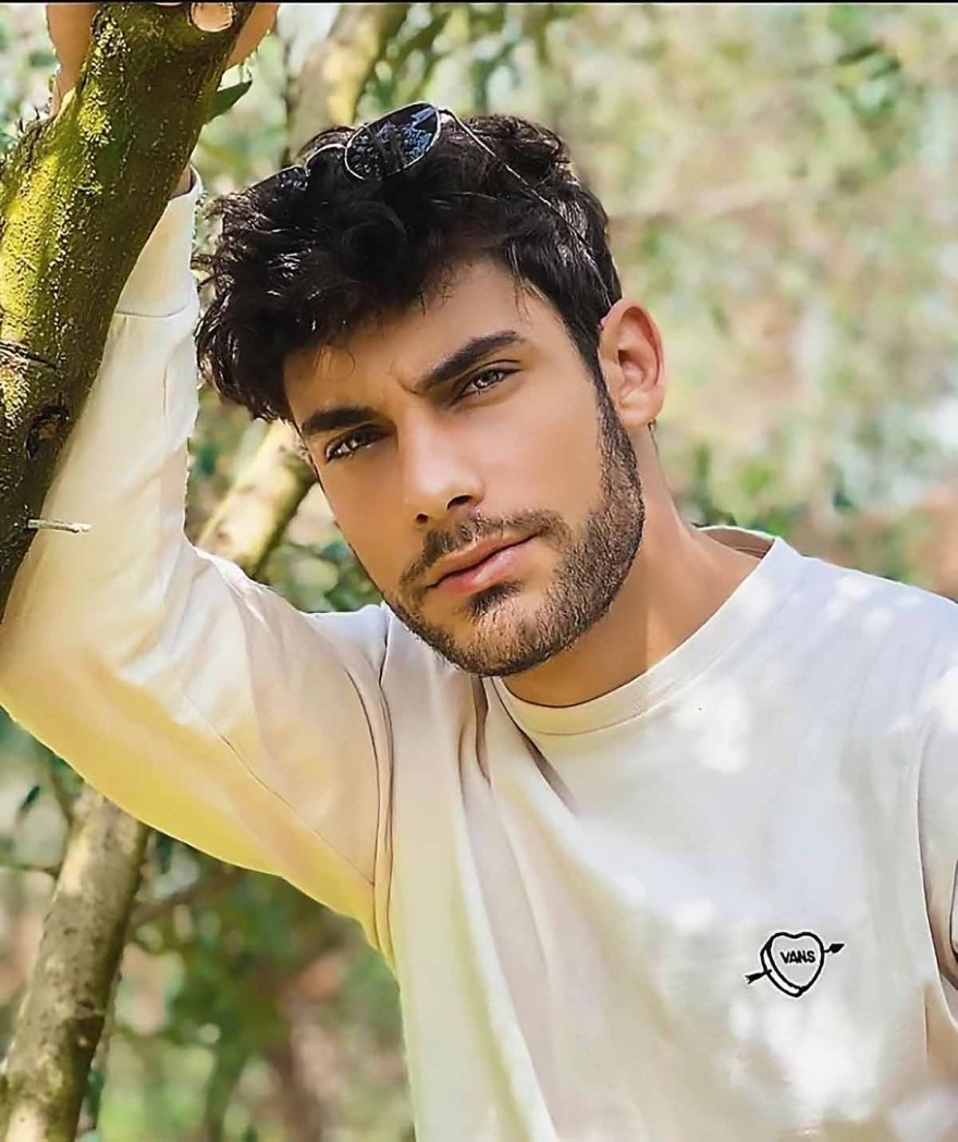 Γη της Ελιάς: 