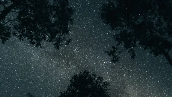 Η Αφροδίτη στον Καρκίνο: Τι θα πάθουν Κριοί, Καρκίνοι, Ζυγοί και 1 ακόμη ζώδιο