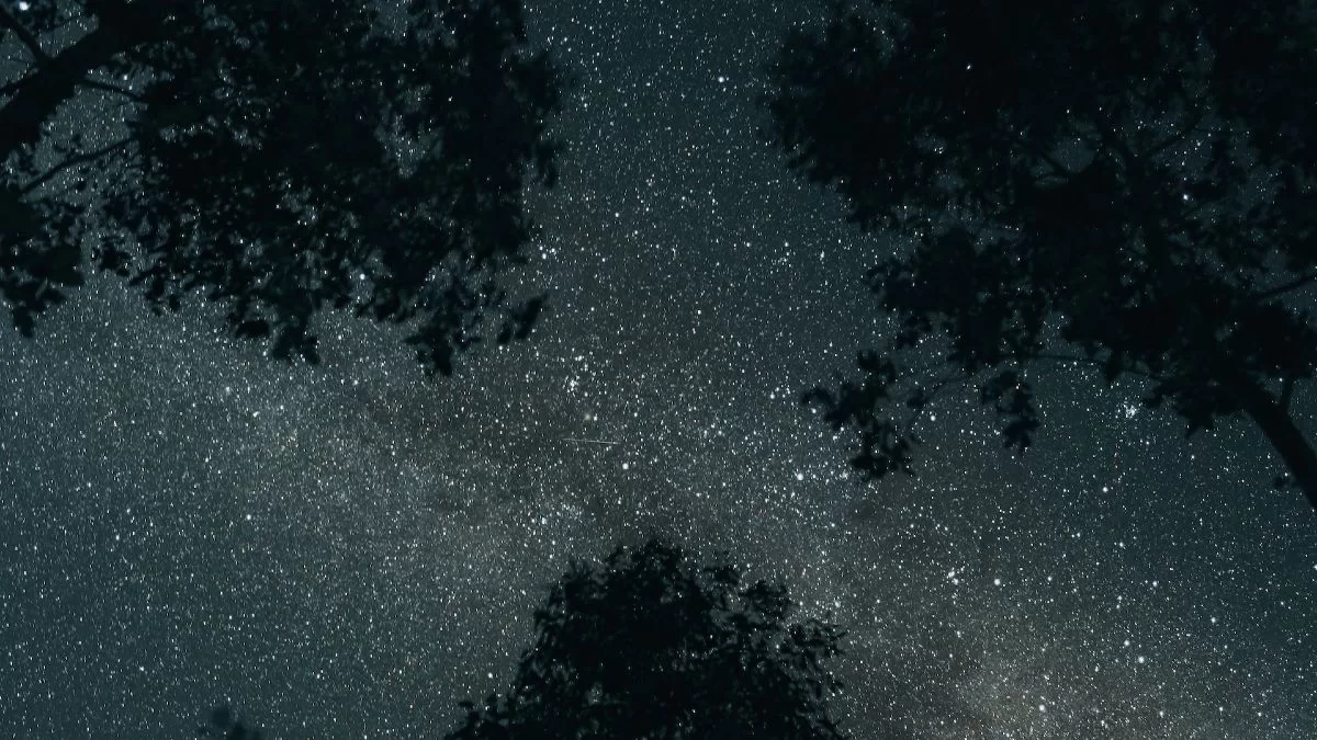 Η Αφροδίτη στον Καρκίνο: Τι θα πάθουν Κριοί, Καρκίνοι, Ζυγοί και 1 ακόμη ζώδιο