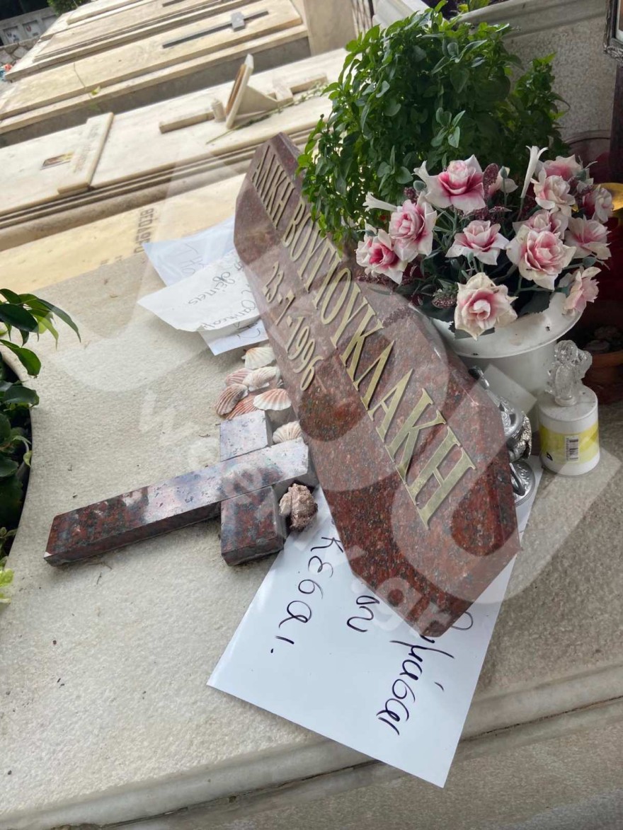 αλικη βουγιουκλακη γιος