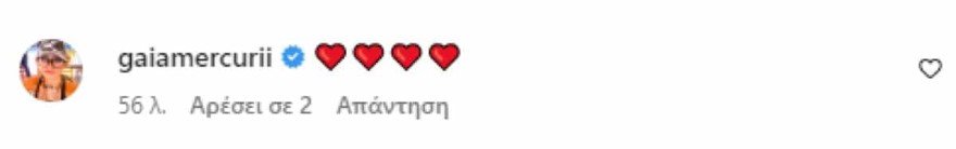 Ελένη Μενεγάκη ανάρτηση σχόλιο Γαίας Μερκούρη