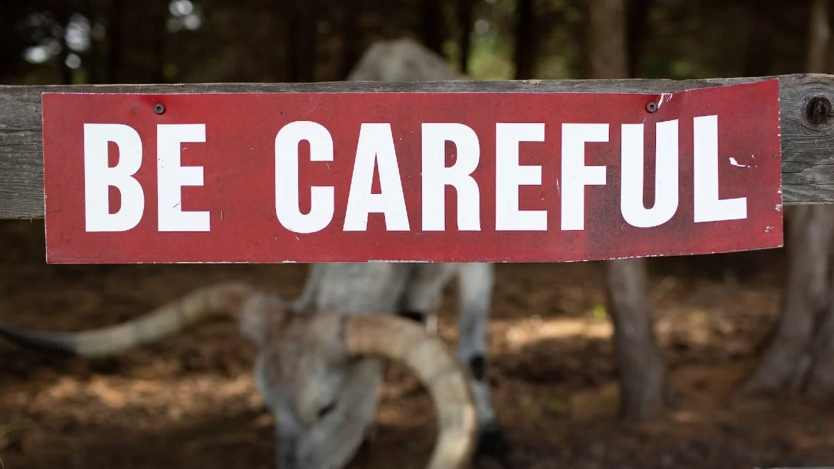 Ο Δίας στον Ταύρο και ο Κρόνος στον Ιχθύ: Αυτά τα 4 συγκεκριμένα ζώδια ευνοούνται μέχρι τέλη Ιουνίου