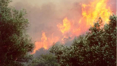 Φωτιά στην Άρτα - Δίνει μάχη η πυροσβεστική