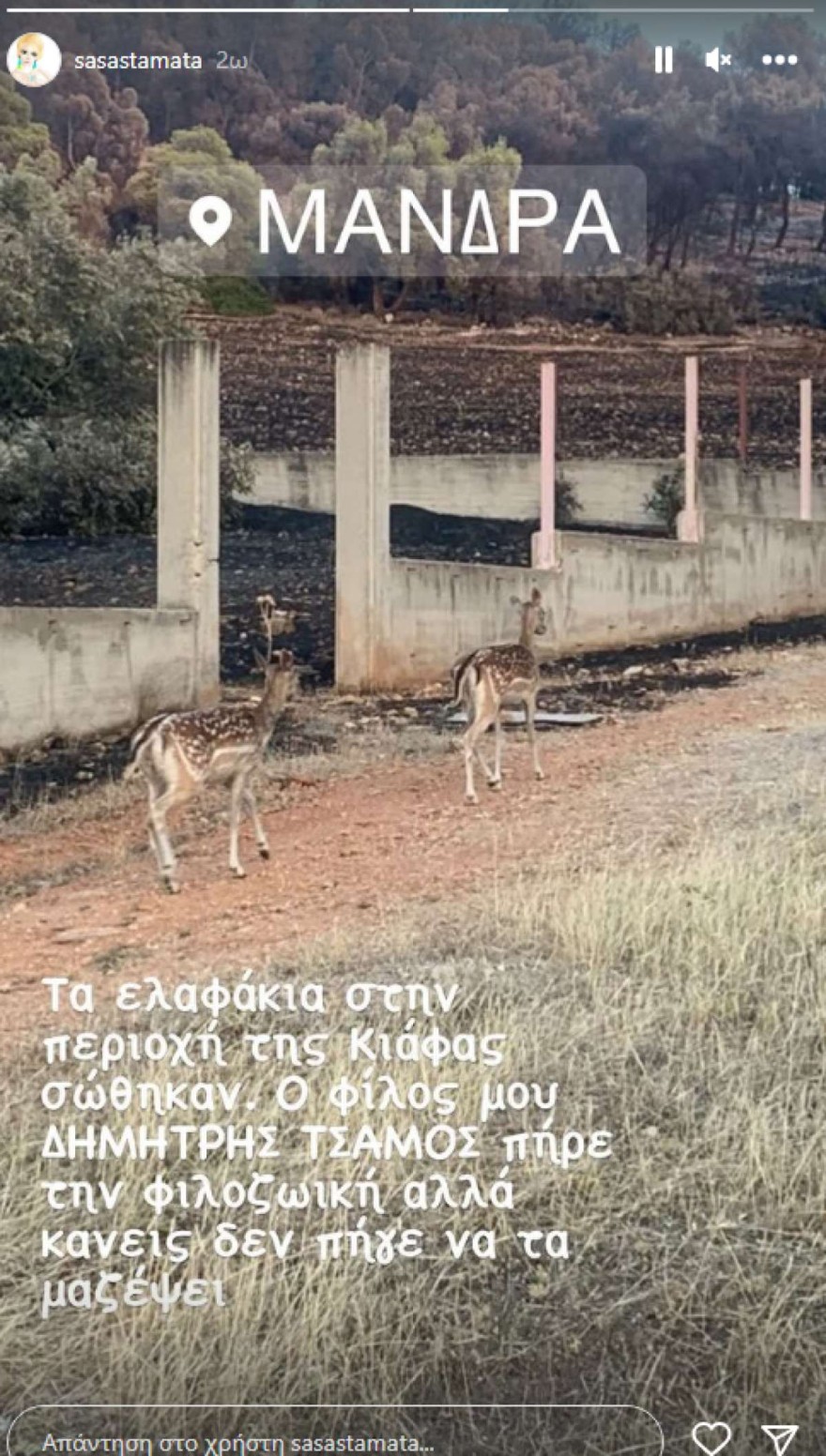 Σάσα Σταματη - Μάνδρα