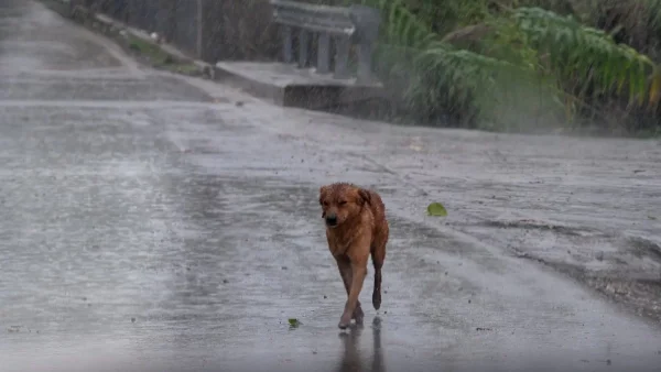 Έκτακτο Δελτίο Επικίνδυνων Καιρικών Φαινομένων: Μπουρίνια και καταιγίδες θα πλήξουν τη χώρα - Πού θα χτυπήσουν και πόσο θα διαρκέσουν