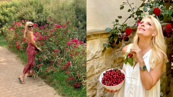 Το έχει στο σπίτι, στο καμαρίνι, στο ξενοδοχείο της - Το φυτό που φέρνει τύχη και λεφτά στην Ελένη Μενεγάκη