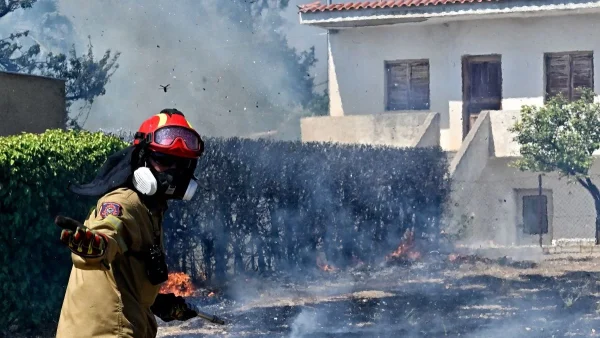 Κάηκε το καταφύγιο ζώων FAZOO: «Αυτή τη στιγμή θέλω να πεθάνω!» - Ραγίζει καρδιές η ανάρτηση της υπεύθυνης