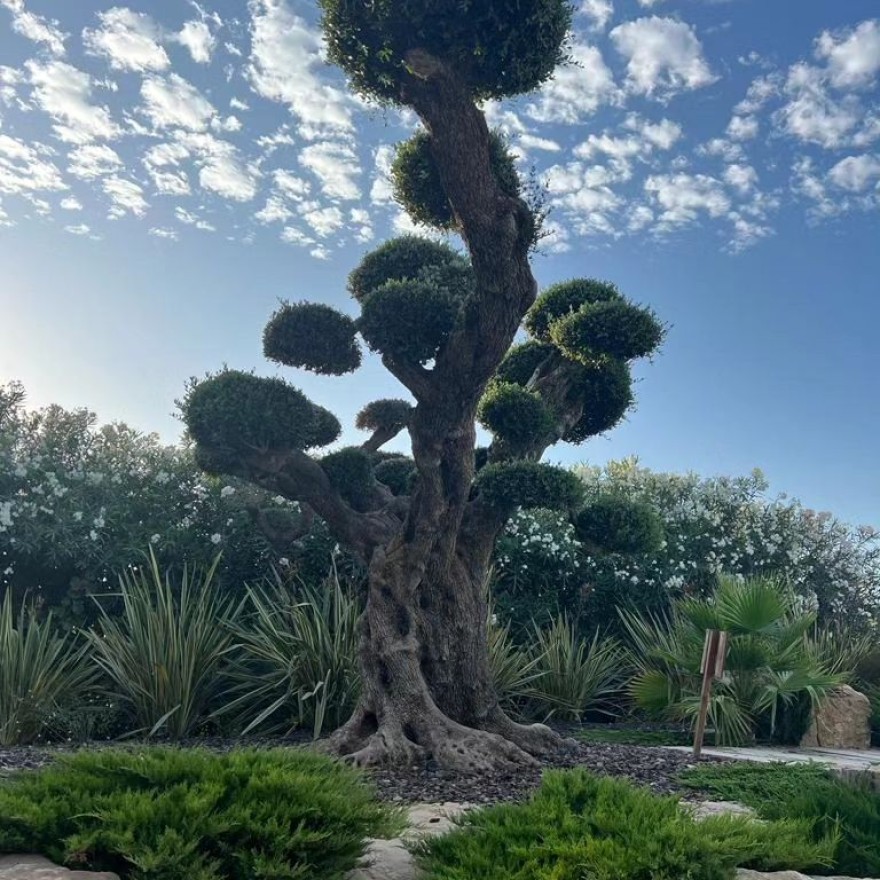 Στην Ίμπιζα μετά το Survivor All Star - Φωτογραφίες από τις ξέφρενες διακοπές του Γιώργου Λιανού και της Κωνσταντίνας Καραλέξη