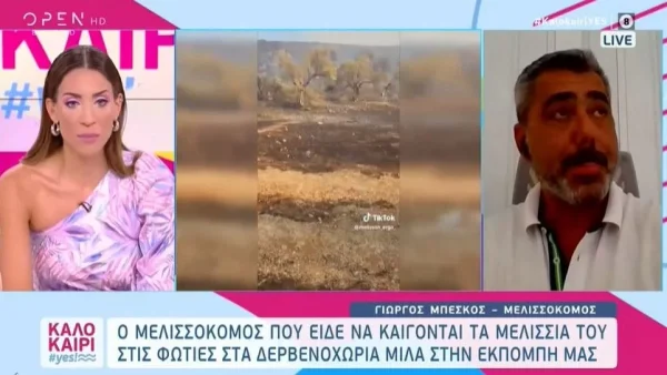 Φωτιά Δερβενοχώρια: «Κάηκαν τα παιδιά μας. Κάηκαν γύρω στα 40 μελίσσια» - Σάλος στο tik tok με το βίντεο του μελισσοκόμου