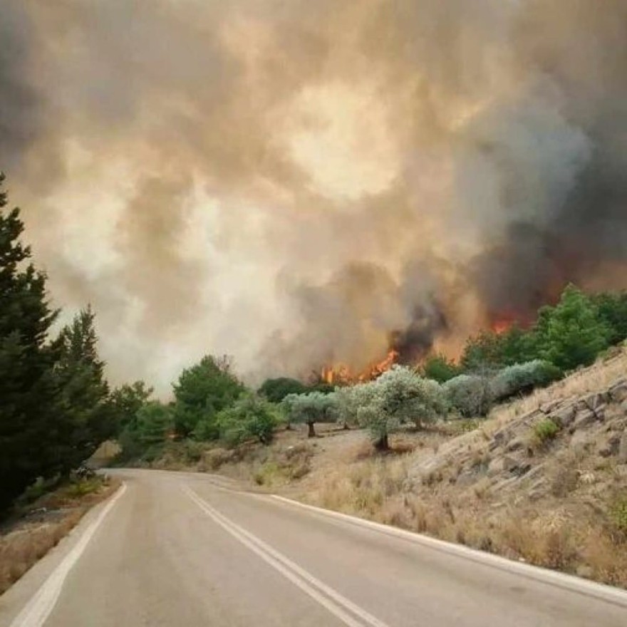 Νατάσα Μποφίλιου φωτιές