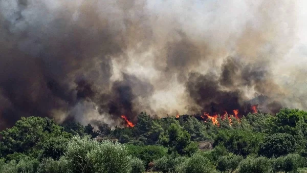 Ξέσπασε φωτιά στη Ρόδο - Πολύ δύσβατη η περιοχή