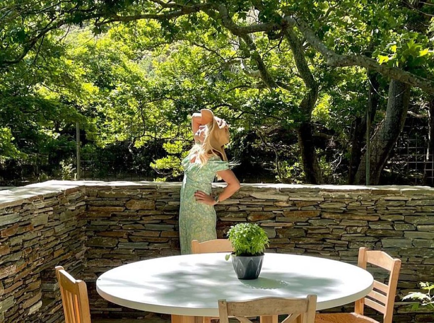 Το έχει στο σπίτι, στο καμαρίνι, στο ξενοδοχείο της - Το φυτό που φέρνει τύχη και λεφτά στην Ελένη Μενεγάκη