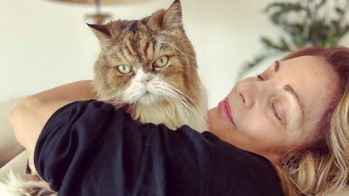 Γεμάτο με φωτογραφίες του Τόλη Βοσκόπουλου - Tο εντυπωσιακό σπίτι της Άντζελας Γκερέκου