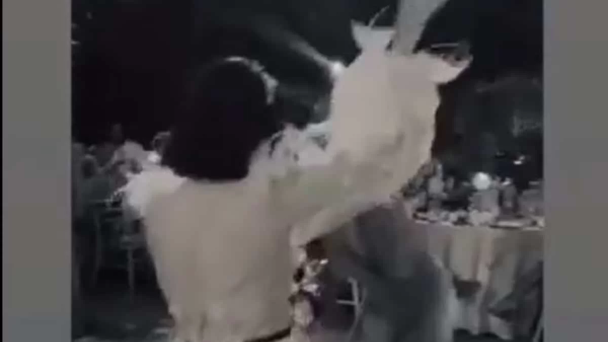 «Στημένο» - Η ηθοποιός που έπιασε την ανθοδέσμη στο γάμο της Ευγενίας Δημητροπούλου