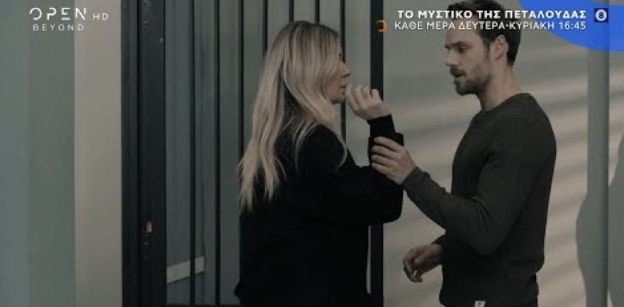 Το μυστικό της πεταλούδας 