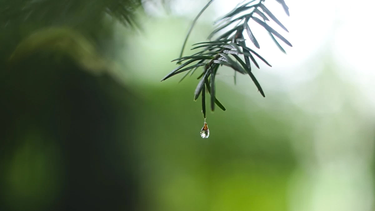 Άστατος και σήμερα 29/9 ο καιρός - Που θα φτάσει η θερμοκρασία;