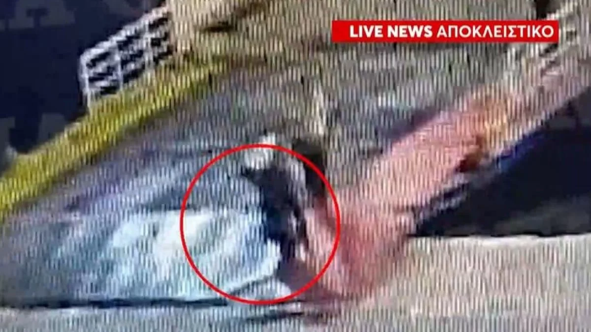 Blue Horizon: Τα τέσσερα πρόσωπα που κατηγορούνται για την ανθρωποκτονία του 36χρονου Αντώνη