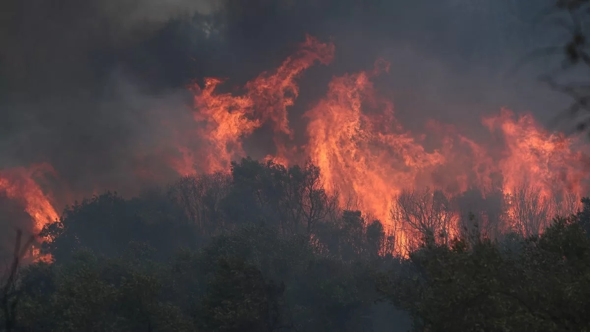 Φλέγεται ο Έβρος για 15η ημέρα - Εκκενώνεται νέος οικισμός