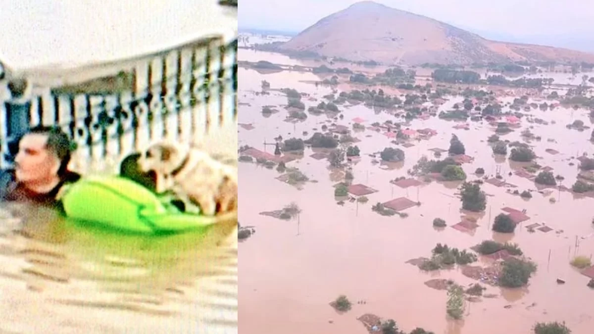 «Όλοι όσοι πουλάτε τις εξάδες νερό 12€ στην #Καρδίτσα και στα χωριά...» - Χαμός στο twitter για την τραγωδία που έφερε η κακοκαιρία