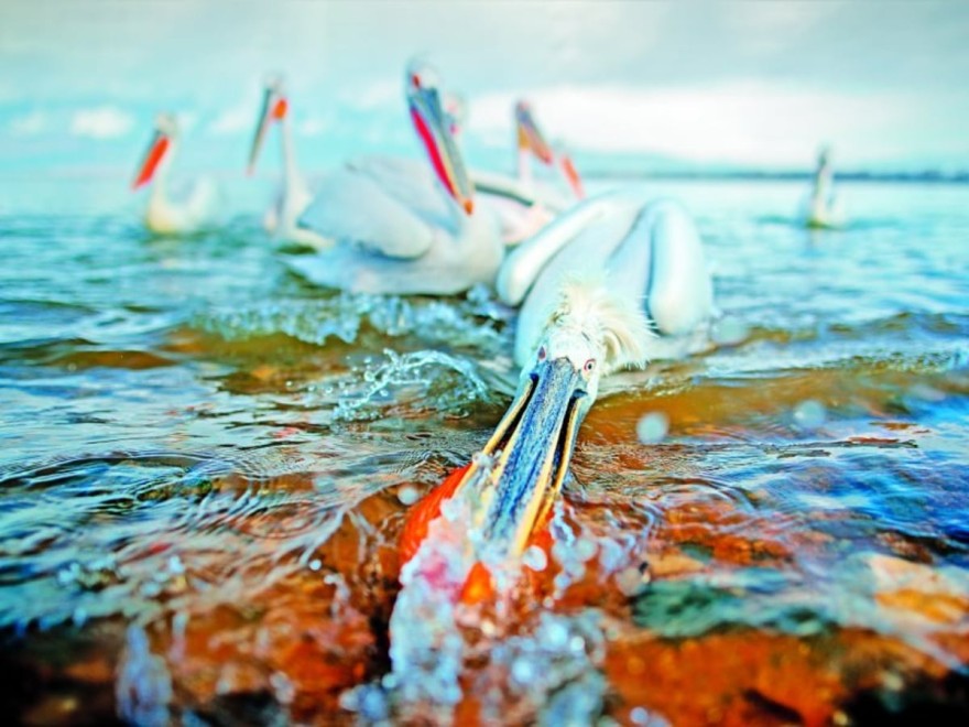 Θεσσαλονίκη