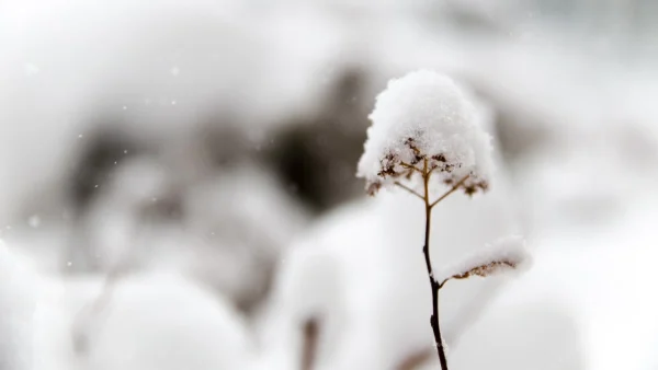 Νωχελικός ο Οκτώβρης, που θα "ντυθουν" στα λευκά: Τα μερομήνια μέχρι και τον Δεκέμβρη του 2023