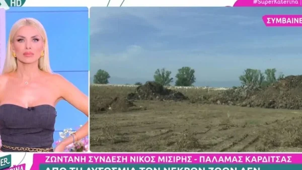 Κατερίνα Καινούργιου: «Λόγω της δυσοσμίας σήμερα ο Νίκος δεν...» - Δύσκολη η κατάσταση στον Παλαμά για τον δημοσιογράφο του ALPHA