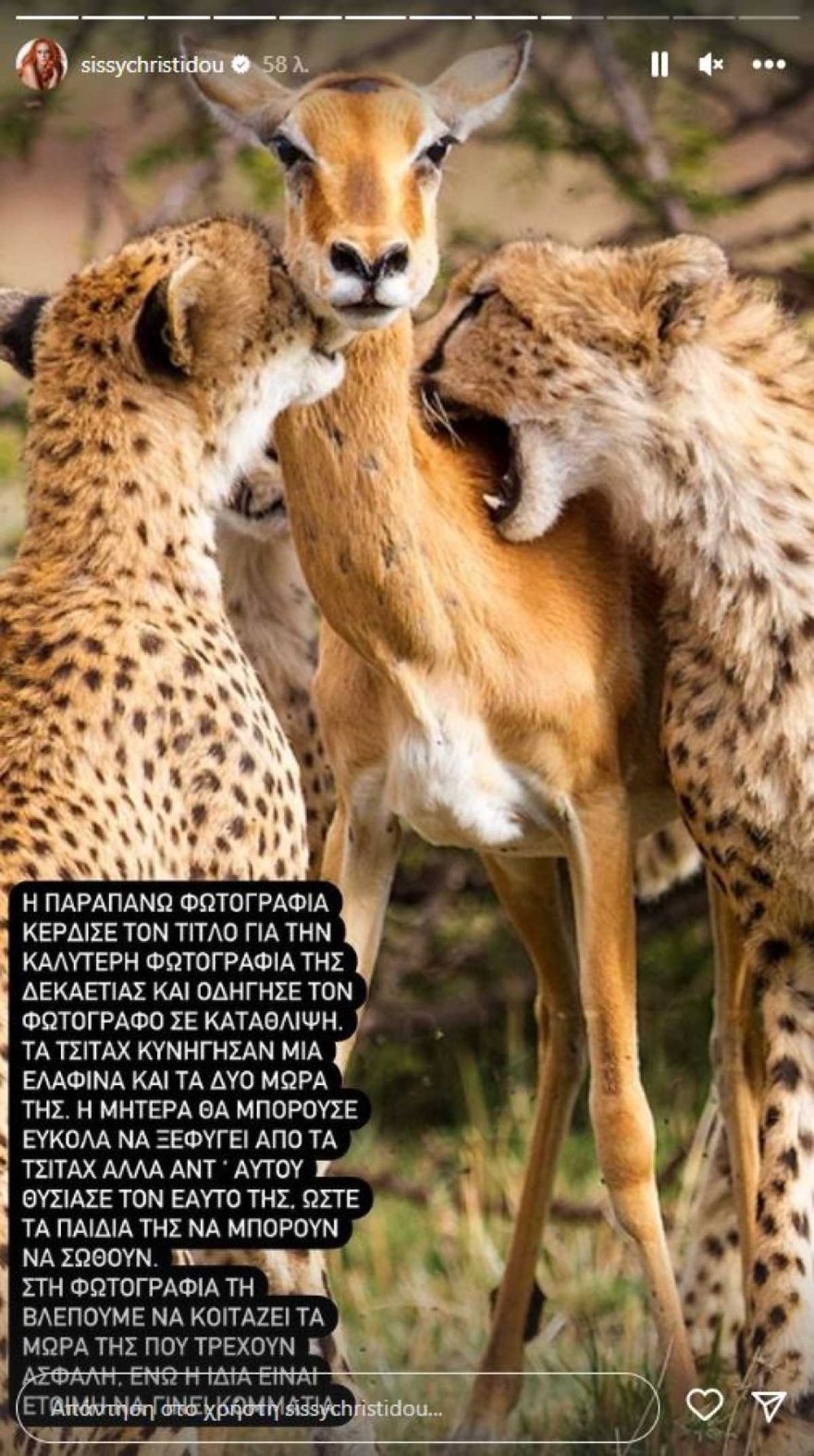 Σίσσυ Χρηστίδου ανάρτηση