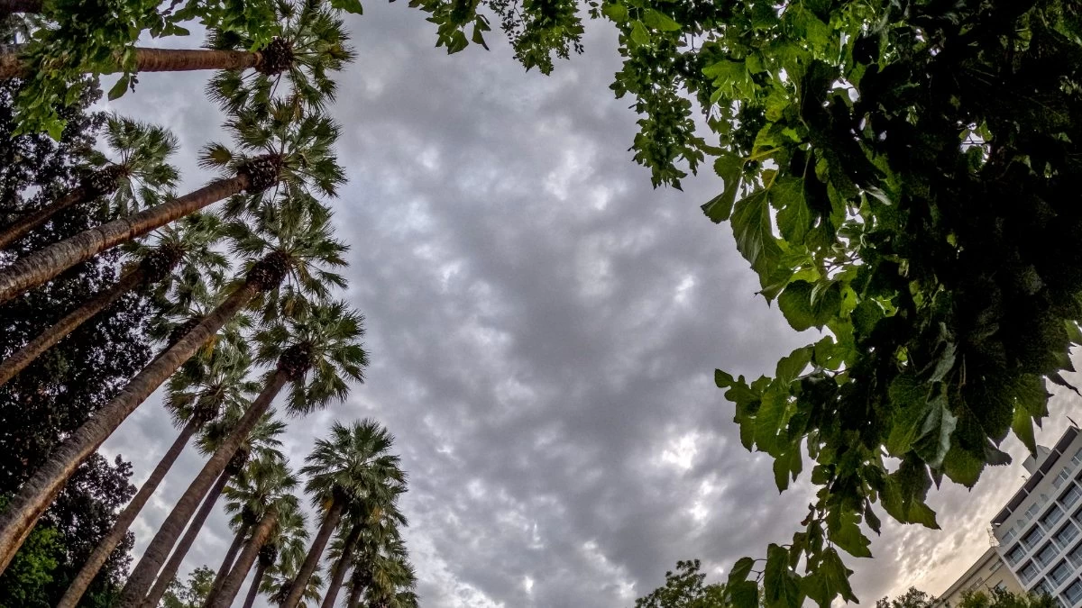 Κυριακή με βροχές - Η θερμοκρασία θα σημειώσει μικρή πτώση σήμερα 29/10