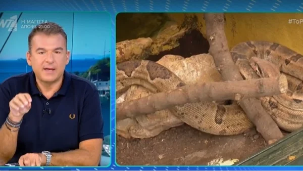 Γιώργος Λιάγκας: «Πολλά φίδια και κολοβά» - Το υπονοούμενο του παρουσιαστή στην εκπομπή