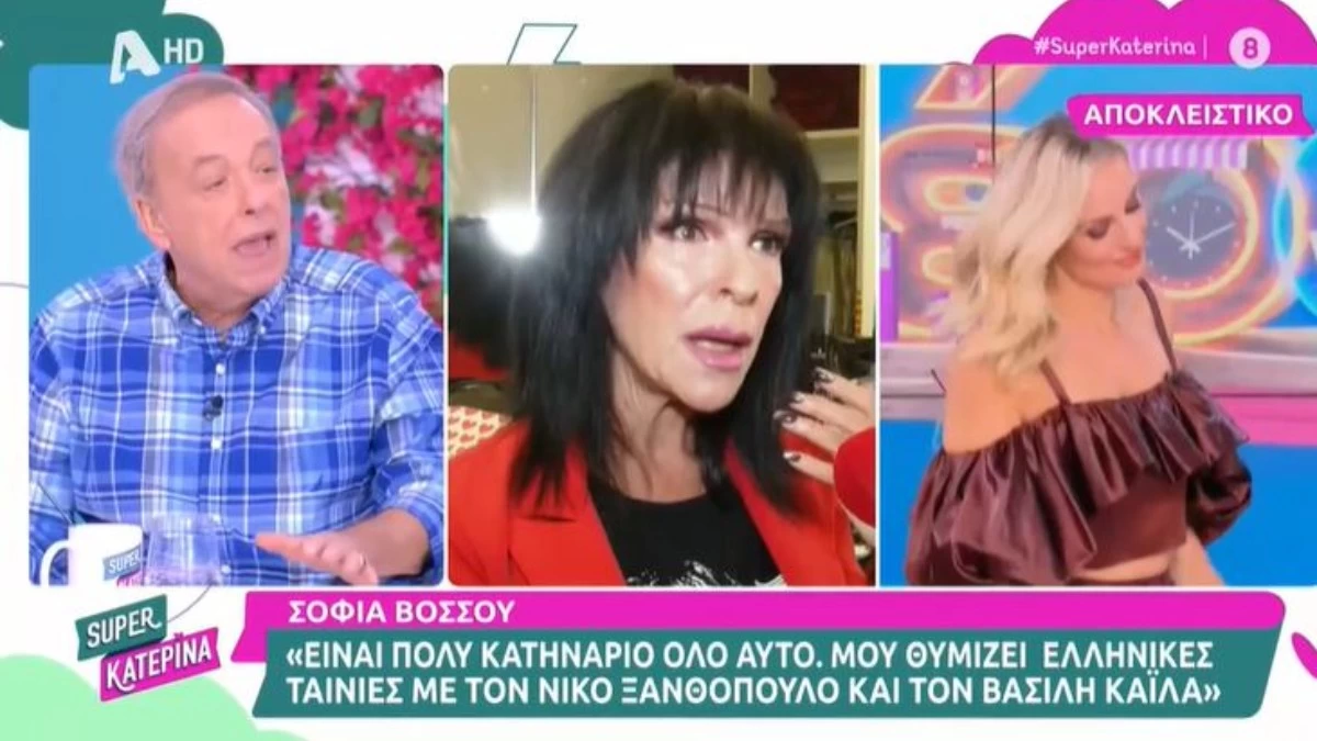 Ανδρέας Μικρούτσικος κατά Νανάς Παλαιτσάκη: «Έβγαλε ψυχολογικό πρόβλημα στην Ερασμία»