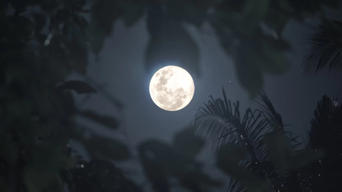 Πανσέληνος στον Ταύρο: Πρέπει να προσέχουν οι Σκορπιοί κι άλλα 3 ζώδια