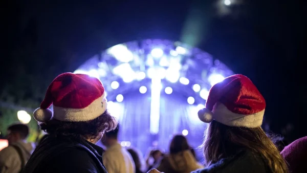 Ψηλό και υπέρλαμπρο: Φωταγωγήθηκε το Χριστουγεννιάτικο δέντρο της Αθήνας