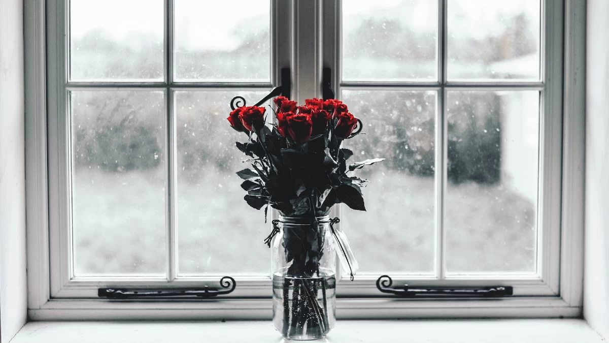 Τώρα που χαλάει ο καιρός: 4 όμορφα φυτά που αντέχουν σε βροχή και κρύο για κήπο ή μπαλκόνι