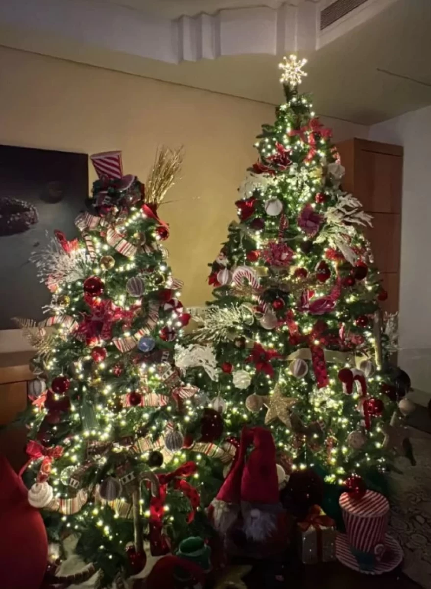 Όχι ένα αλλά τέσσερα Χριστουγεννιάτικα δέντρα φέτος: Το σπίτι υπερπαραγωγή της Κόνι Μεταξά και του Μάριου Καπότση