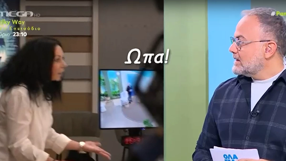 «Θέλετε να μου βγάλετε το σουτιέν εσείς;» - "Πάγωσε" ο Μιχάλης Κεφαλογιάννης στον αέρα του MEGA