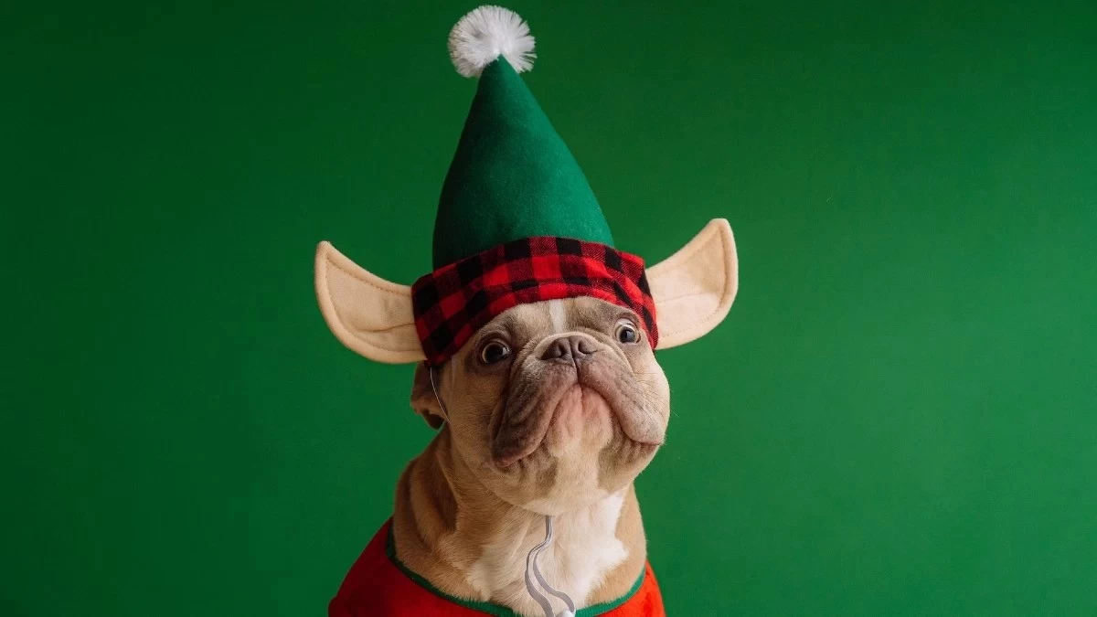 Ζώδια: Τι μας περιμένει σήμερα, Κυριακή 24 Δεκεμβρίου