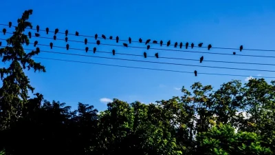 Αίθριος καιρός σήμερα 24/12 με άνοδο της θερμοκρασίας