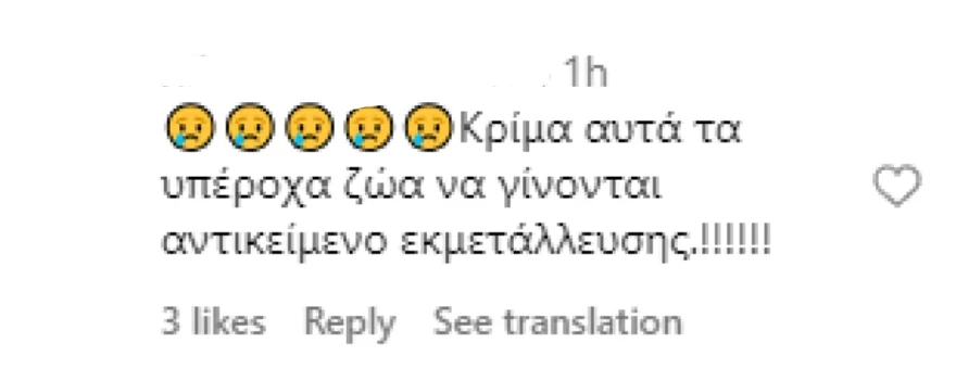Σχόλια στην ανάρτηση της Σπυροπούλου με τον γιο της