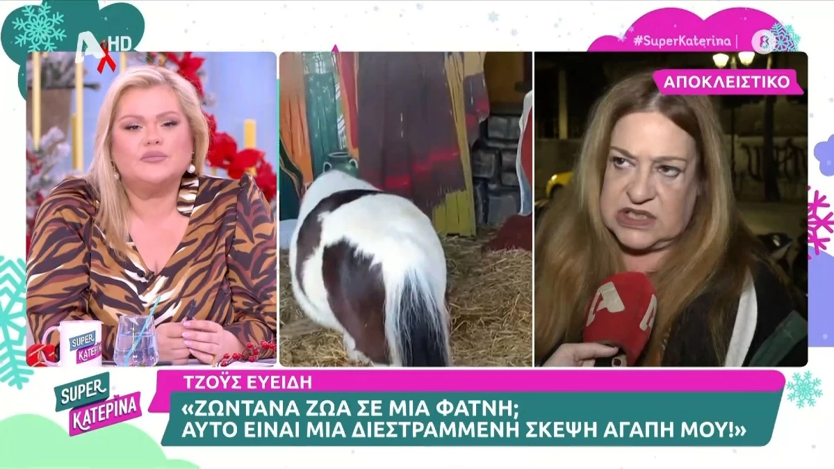 «Διεστραμμένη σκέψη αγάπη μου!» - Η απάντηση της Τζόυς Ευείδη για τα ζωντανά ζώα σε φάτνη