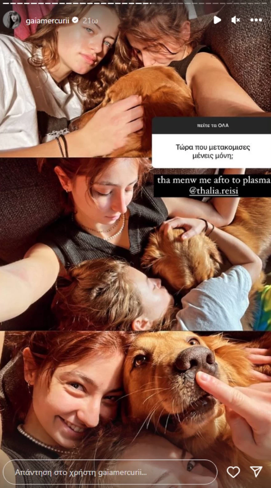 Γαία Μερκούρη - Συγακτοίκηση