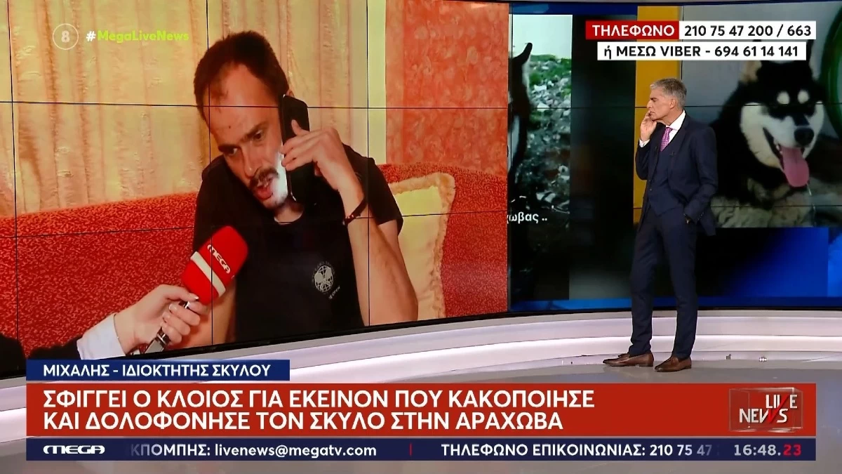 «Όποιος γνωρίζει πρέπει να...» - Έξαλλος ο ιδιοκτήτης του χάσκι, που κακοποιήθηκε στην Αράχωβα