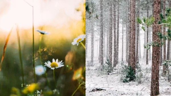 "Κωλοτούμπες" κάνει ο καιρός: Άνοιξη τις επόμενες μέρες, καταχείμωνο μετά