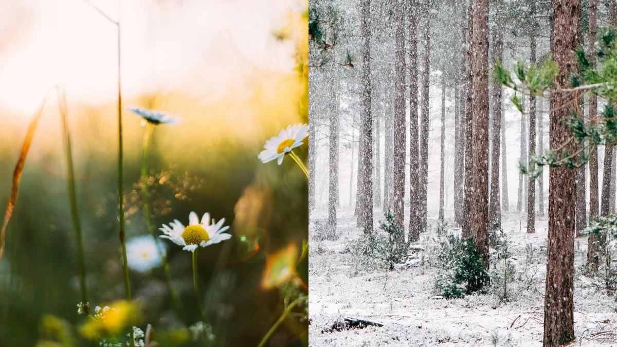"Κωλοτούμπες" κάνει ο καιρός: Άνοιξη τις επόμενες μέρες, καταχείμωνο μετά
