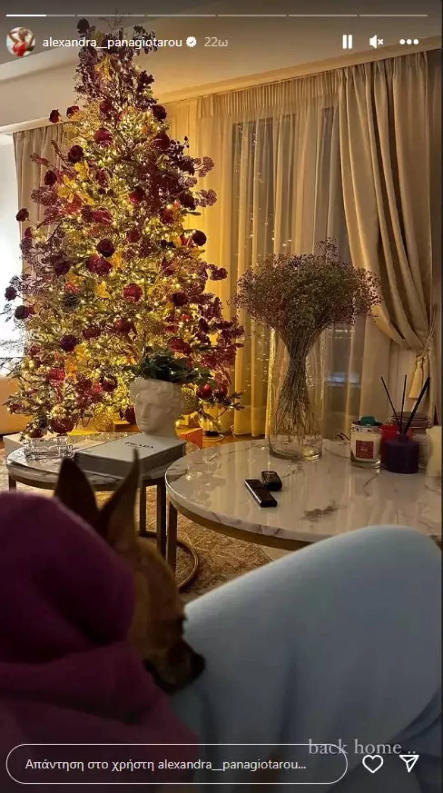 ΑΝΑΡΤΗΣΗ ΑΛΕΞΑΝΔΡΑ ΠΑΝΑΓΙΩΤΑΡΟΥ