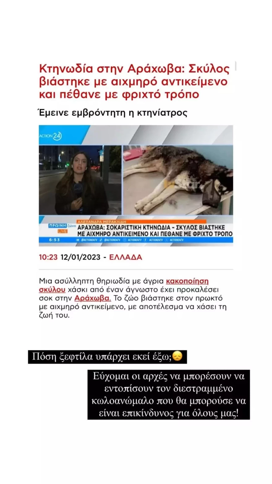 Τούνη ξέσπασμα κακοποίηση ζώου