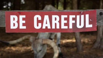 MagicFariel: Τα 6 ζώδια που έχουν την εύνοια του σύμπαντος - Ποια θα βασανιστούν μέχρι 25/12