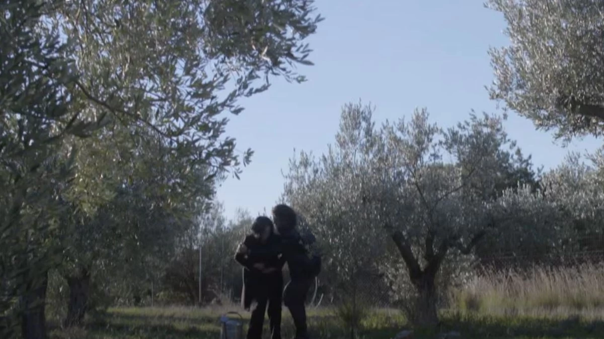 Σασμός (22/1): «Αχ! Το μωρό... Πονάω» - Κρίσιμες ώρες για την Βασιλική και την εγκυμοσύνη της