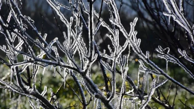 Καιρός (27/1): Παγετός τις πρωινές & τις βραδινές ώρες - Πόσο θα πέσει η θερμοκρασία